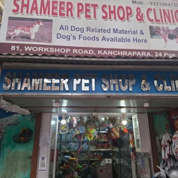 All pet shop near me clearance