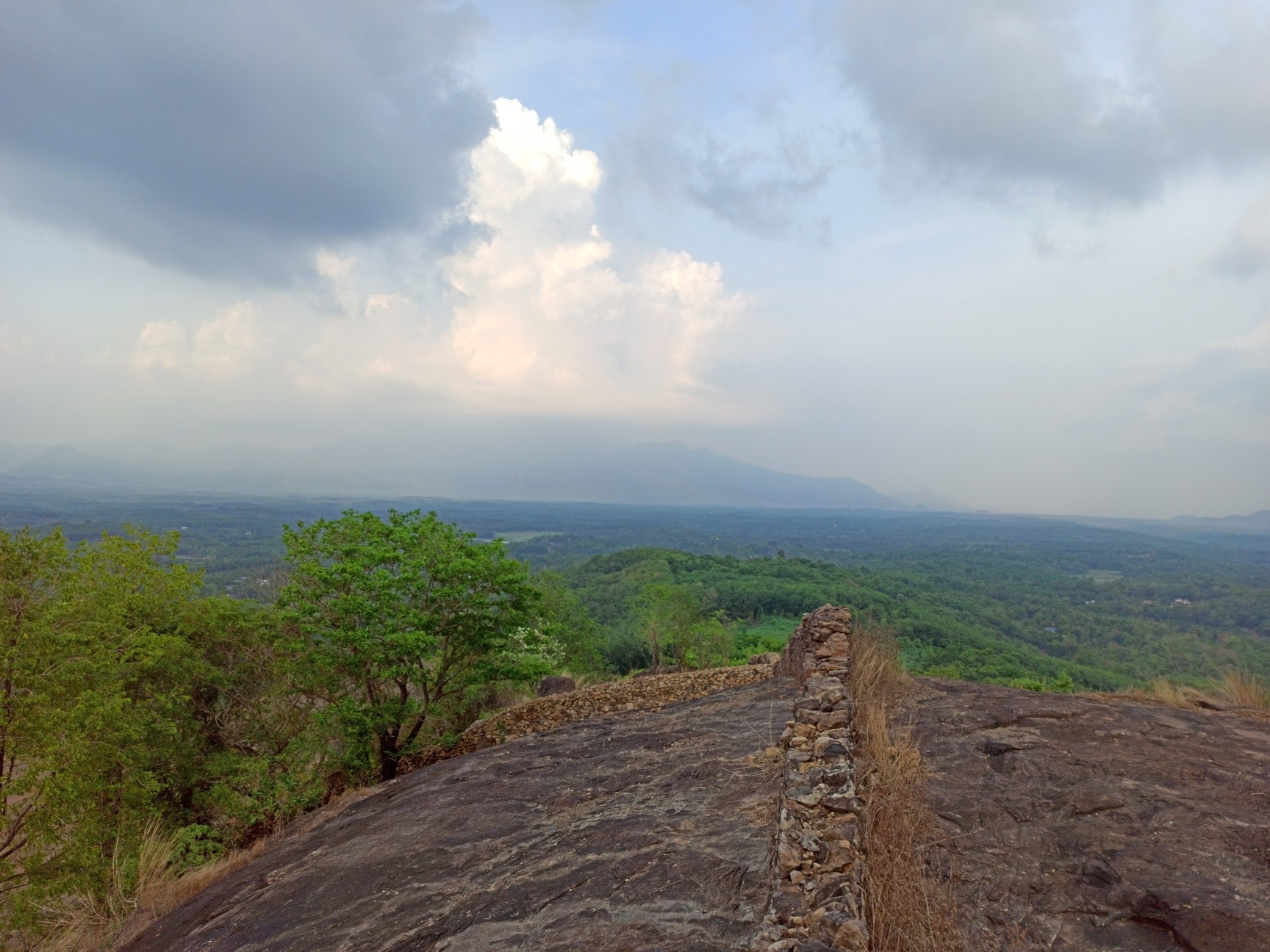 Pathiripala