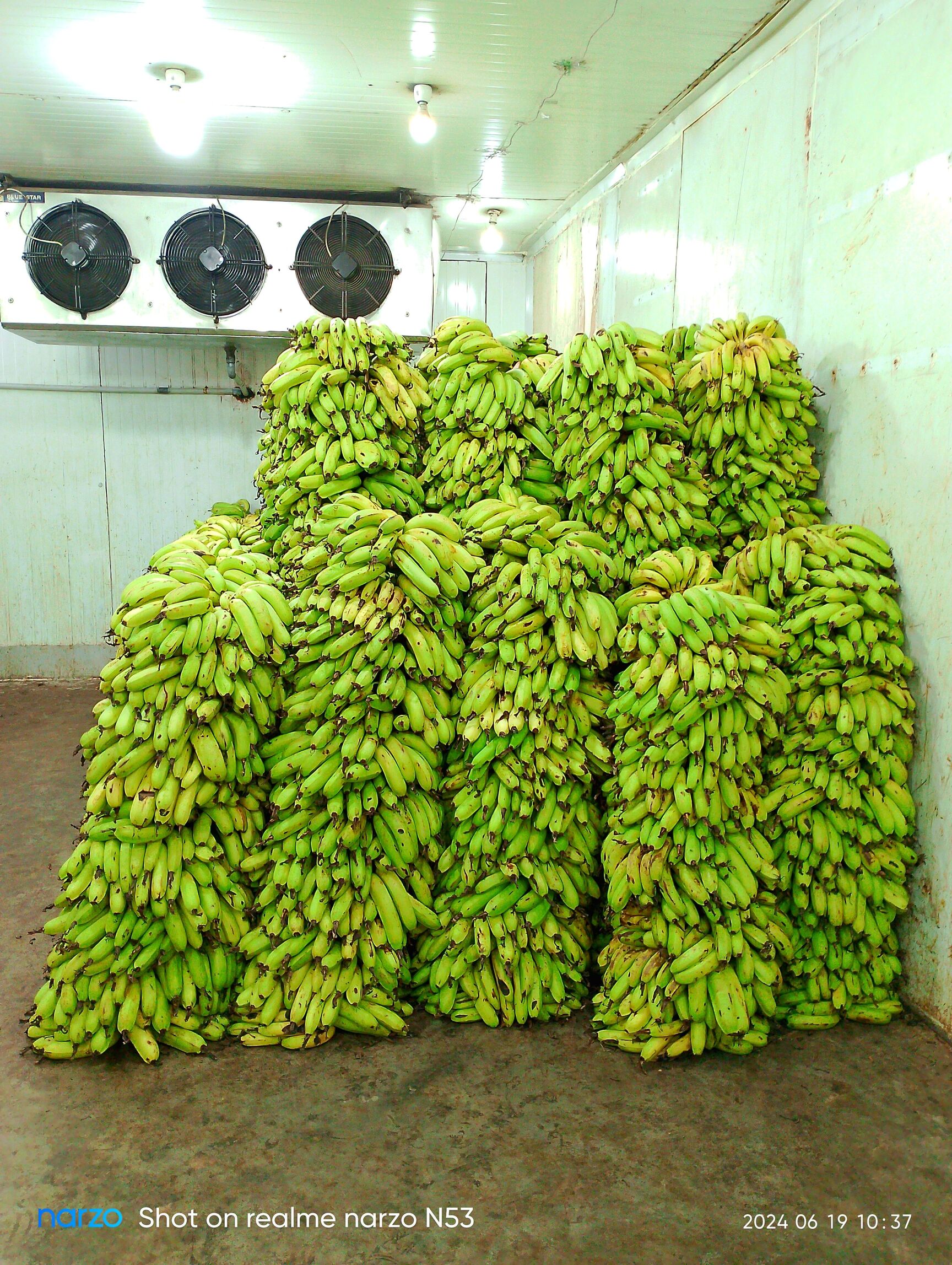 Top Banana Fruit Vendors in Palwal - Best Kele Wala near me - Justdial