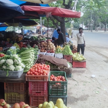 Top Fruit Vendors in Panchkula Sector 25 - Best Fruit Dealers