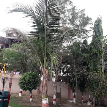 Lab view 17