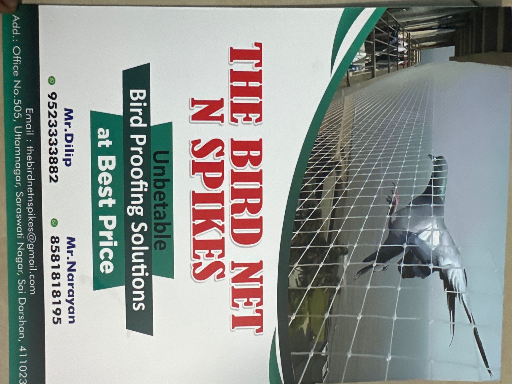 Ensuring Safety and Serenity: Bird and Child Protection Solutions in Magarpatta City, Pune