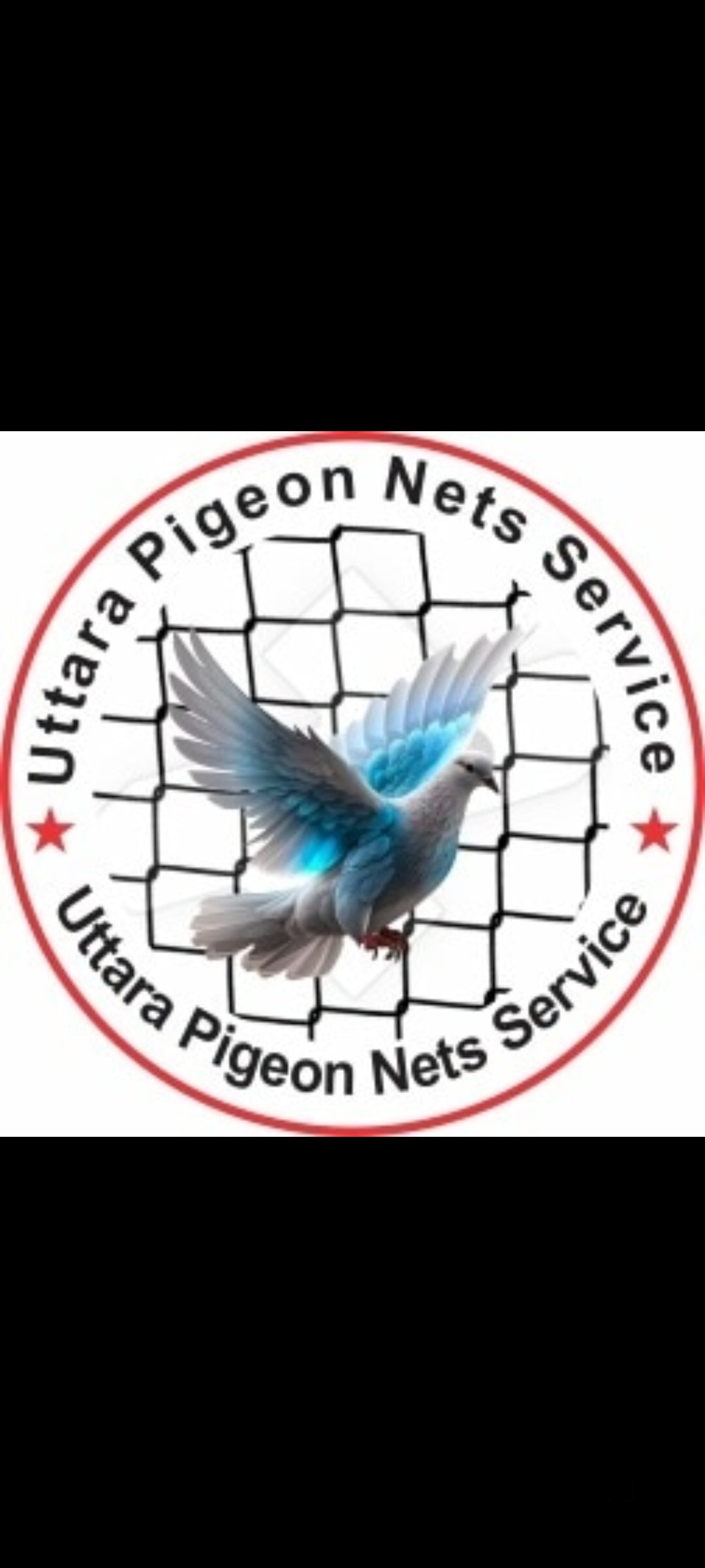 Ensuring Safety and Hygiene in Saras Baug Pune - Expert Pigeon Net & Invisible Grill Installations for a Protected Home