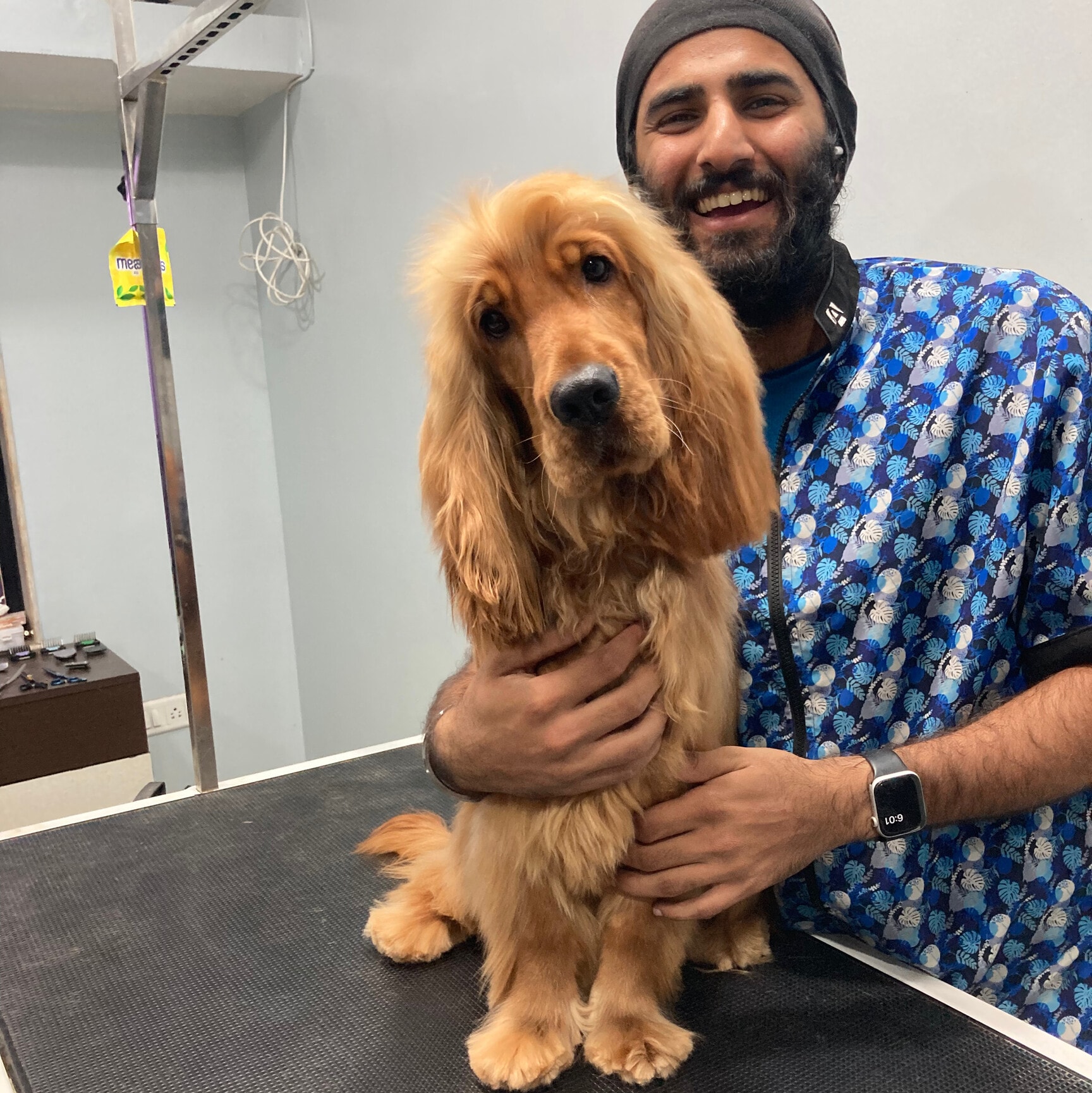 Barks And Bubbles in Aundh,Pune Best Pet Grooming Services in Pune Justdial