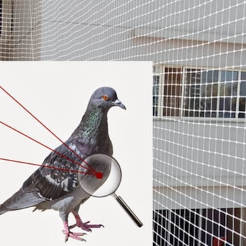 Securing Homes in Adgaon Naka, Nashik - Expert Solutions for Pigeon Control and Safety Nets