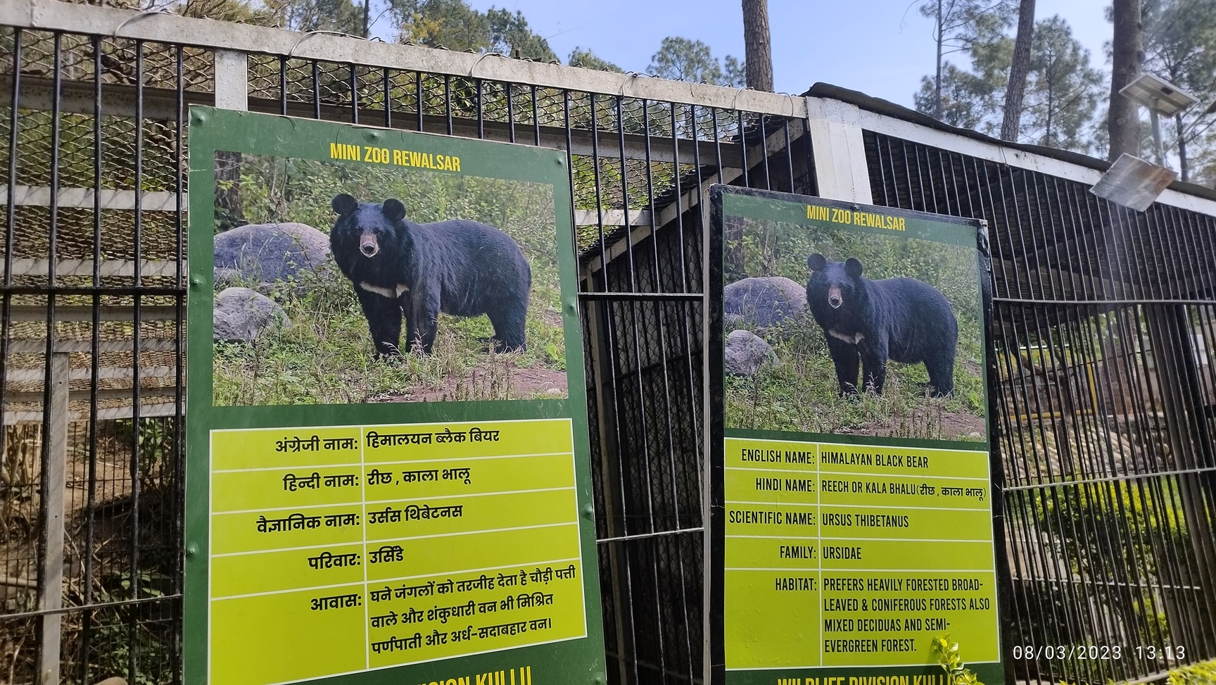 Zoo in Mall Road - Animal Park Shimla near me - Justdial