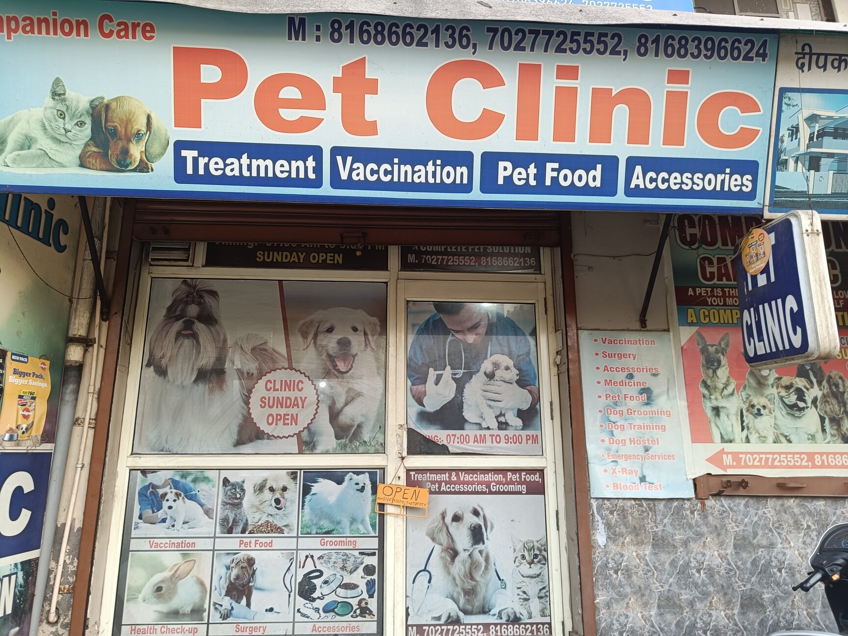Pets Veterinary Clinic Veterinary Clinic All Pets Care Rohtak Paws