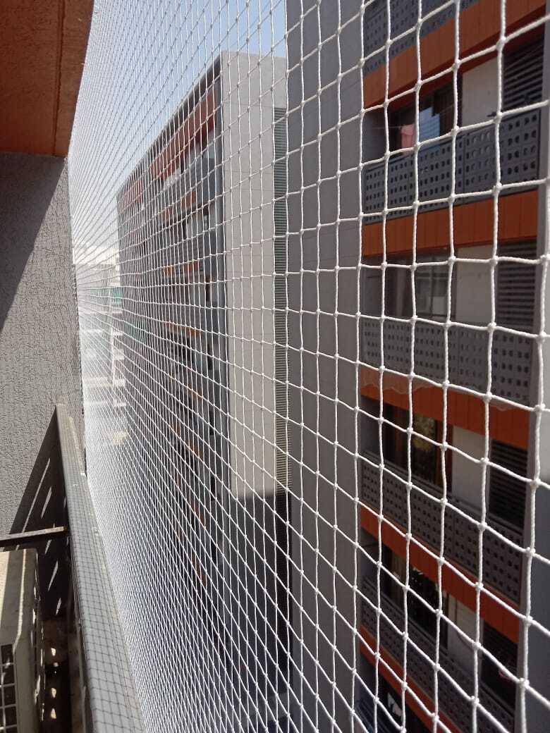 Ensuring Safety and Bird Control in Gokulpeth, Nagpur — Expert Solutions for Your Home and Society
