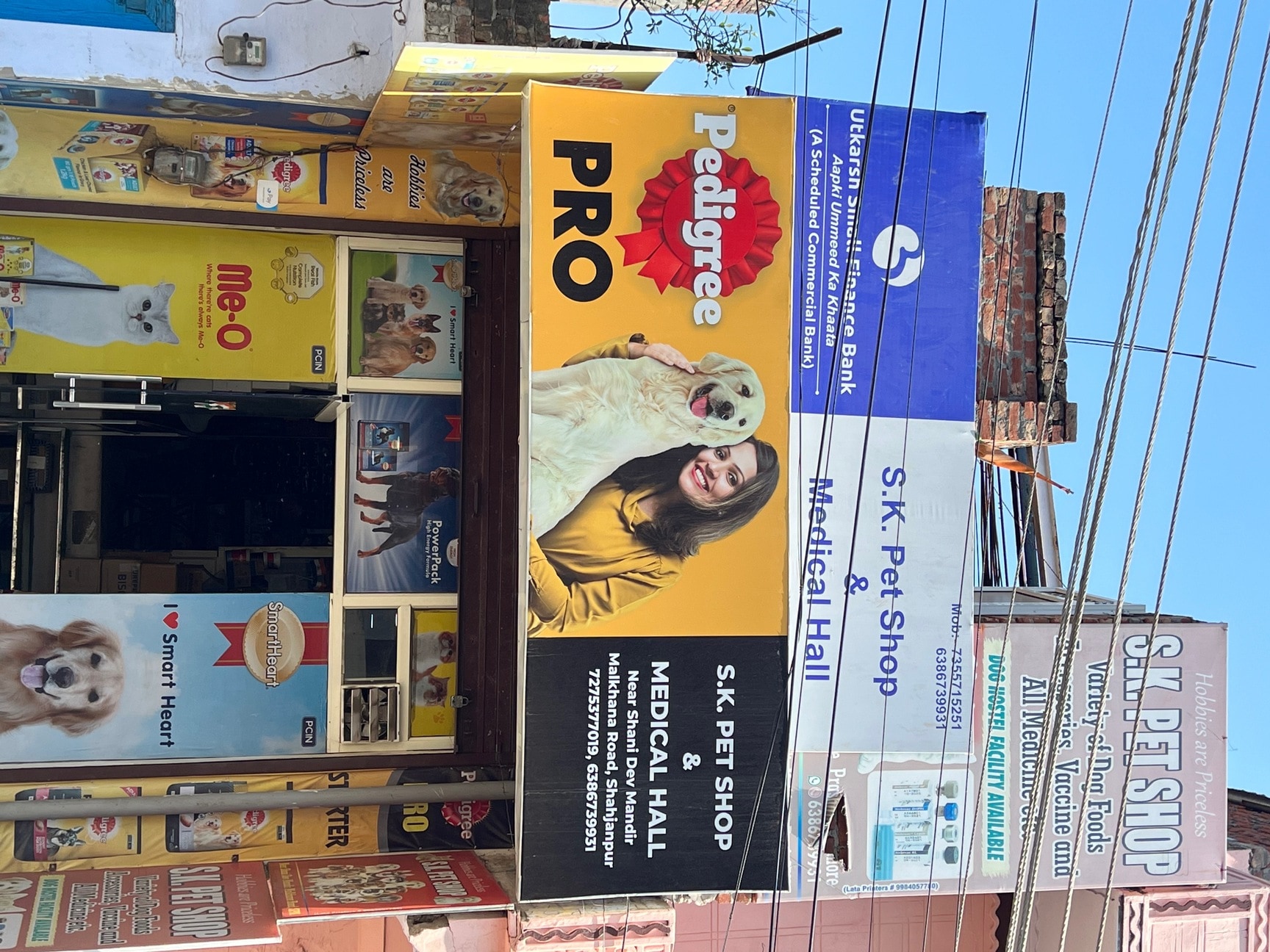 Top Pet Shops For Tibetan Mastiff Lion Dog in Etawah near me