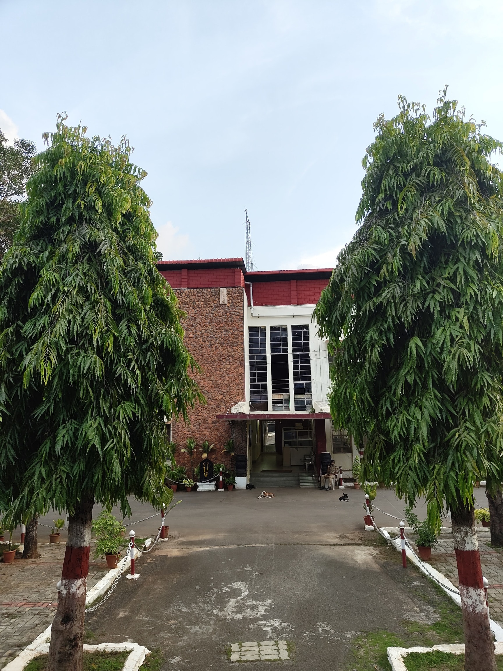 Lab view 5
