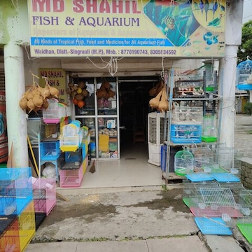 Top Fish Tank Dealers in Singrauli Best Aquarium Suppliers Justdial