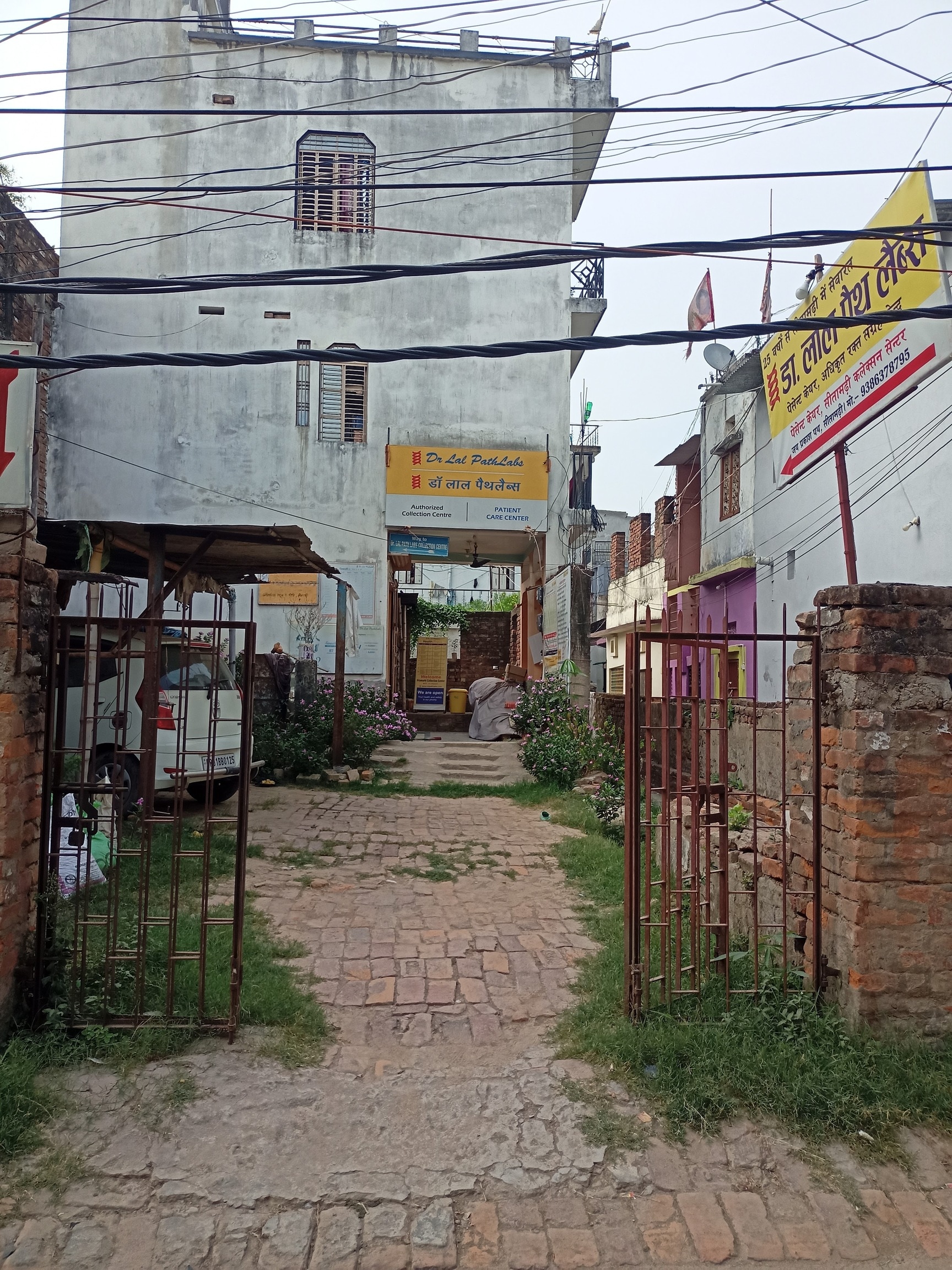 List of nearest Blood Test Home Visit in Sitamarhi | Justdial