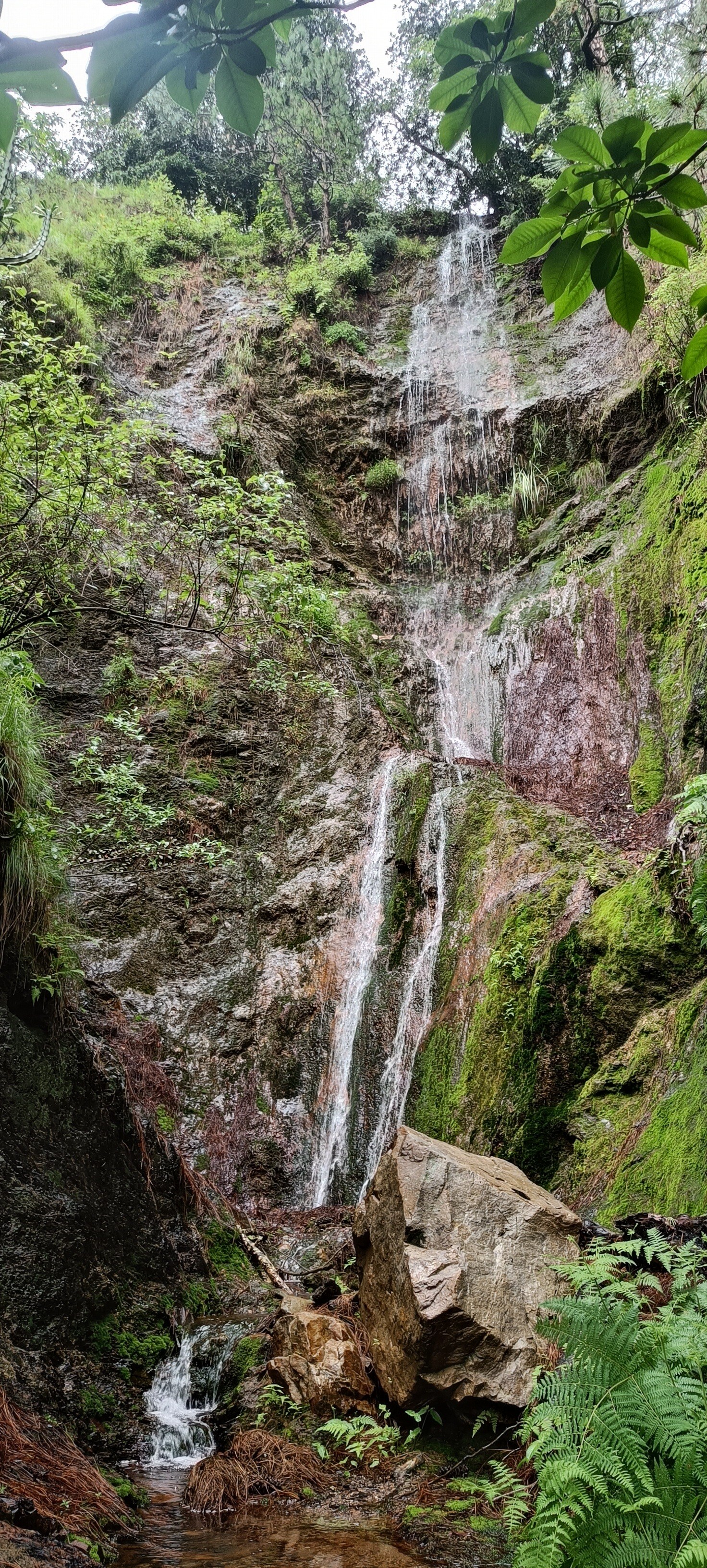 Tourist Attraction in Solan - Page 2