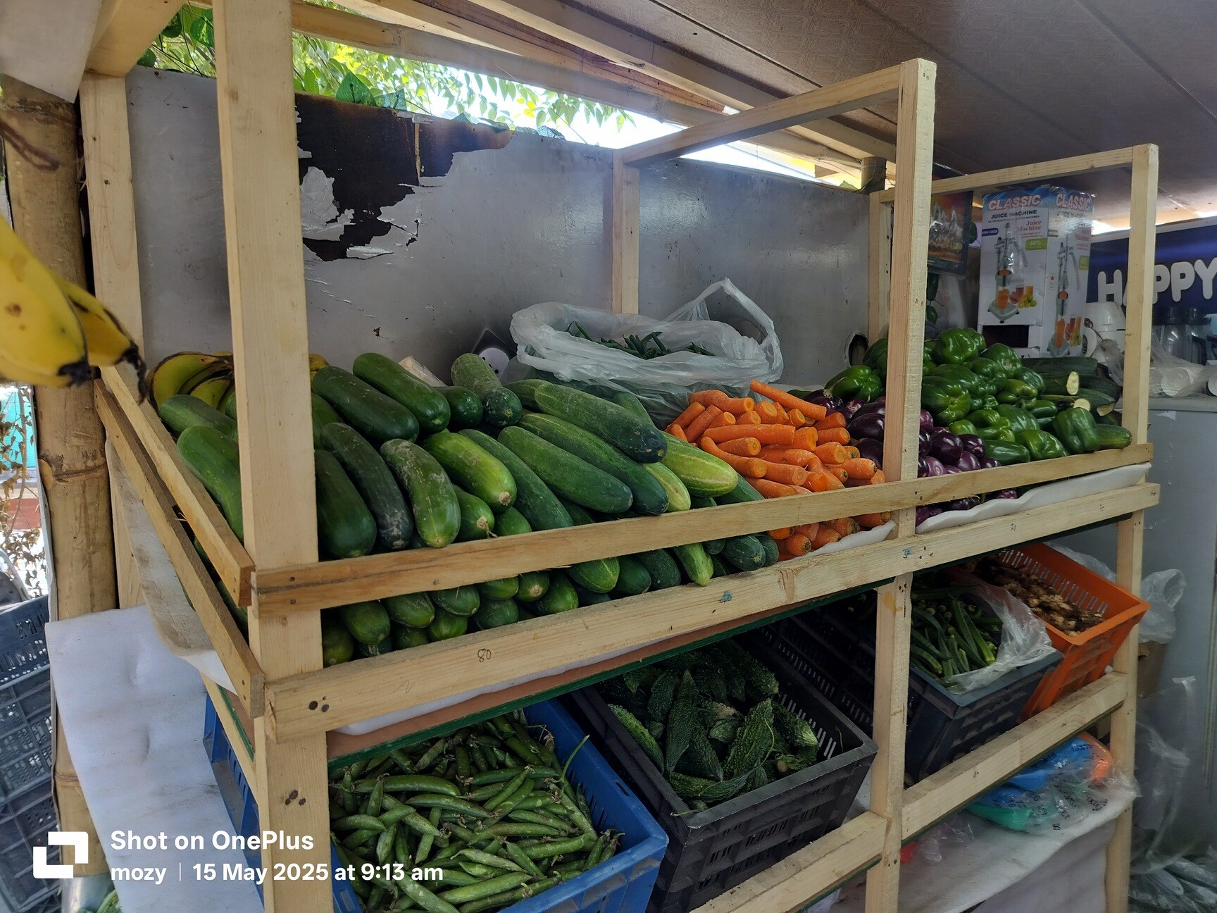 Shoolini Vegitable in Kathiala,Solan - Best Fruit Vendors near me in Solan  - Justdial