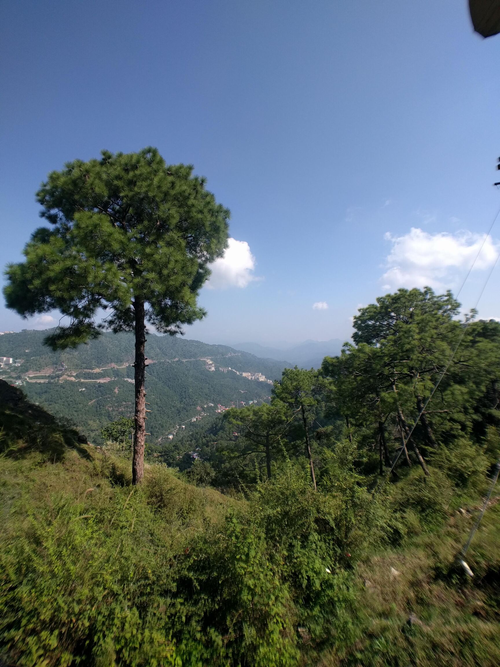 Top Tourist Attractions in Solan – Must-Visit Places in Solan