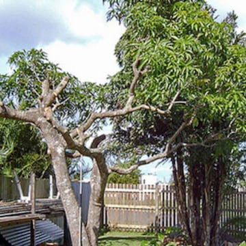 Top Tent House near Rajhanss Cinemas Kanpura - Best Tentwala Vyara near ...