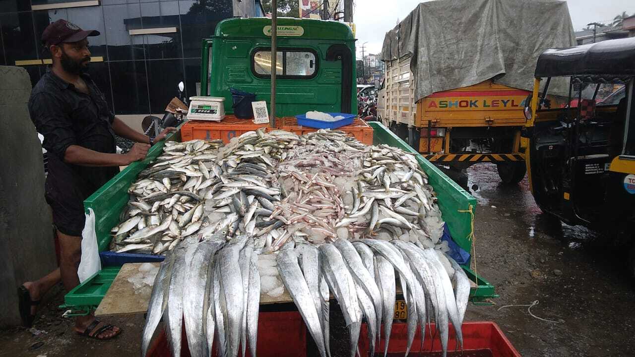 Fish Retailers in Vizhinjam Harbour Road, Thiruvananthapuram