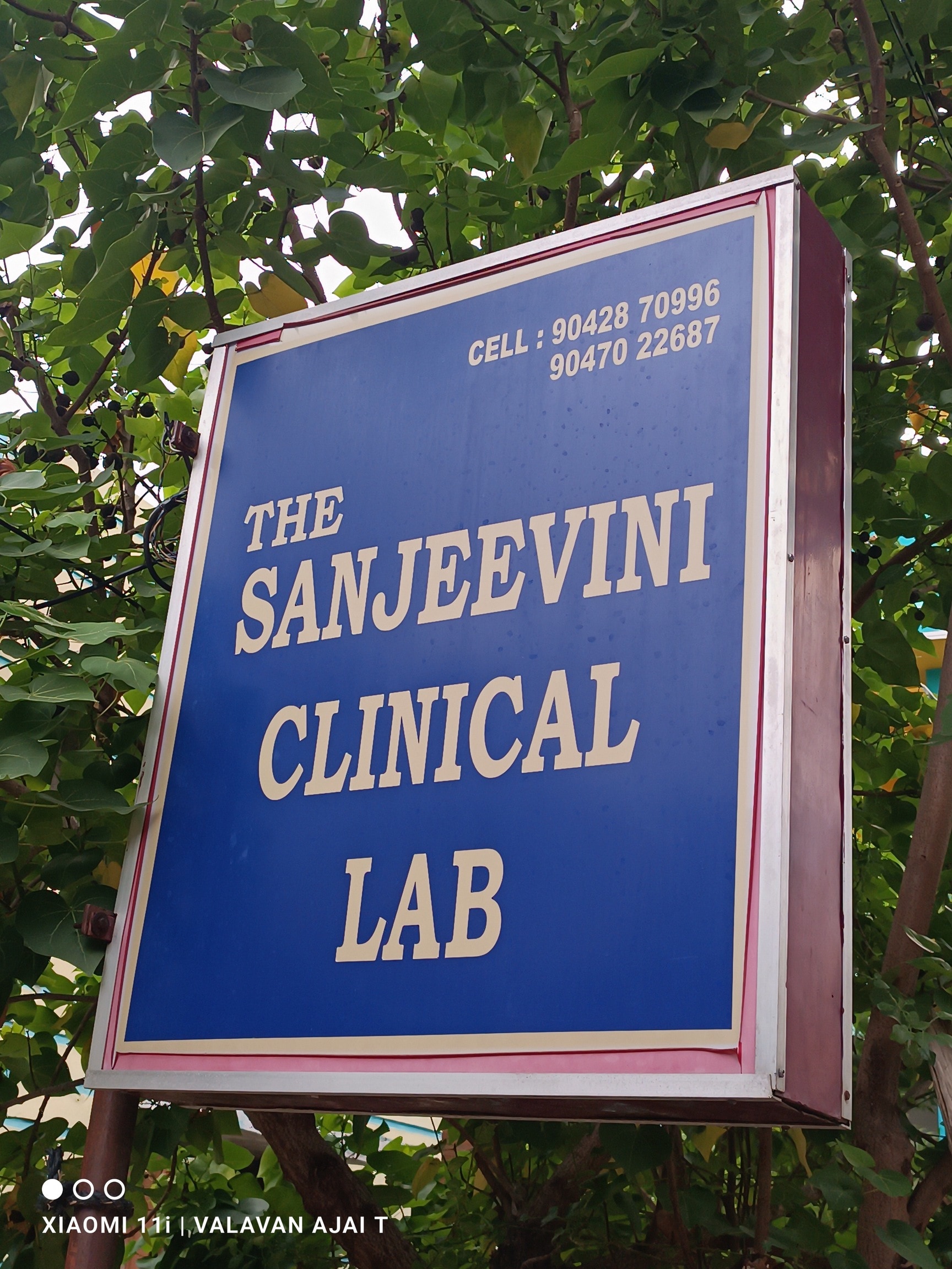 Lab view 8