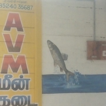 avm fish net store chennai tamil nadu Avm Fish Store in Thuraiyur,Trichy - Best Fish Retailers near me in Trichy