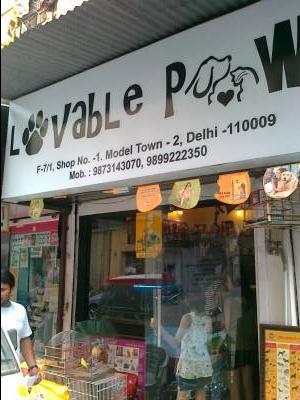 Vet Offices Pet Clinic Nearest Pet Store Open Lovable Paws Pet