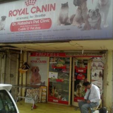 Mega pet warehouse near me sale
