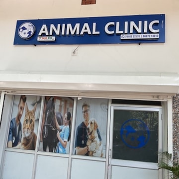 Bharatpur Dog Clinic 5+ Thousand Castrazione Royalty-Free Images
