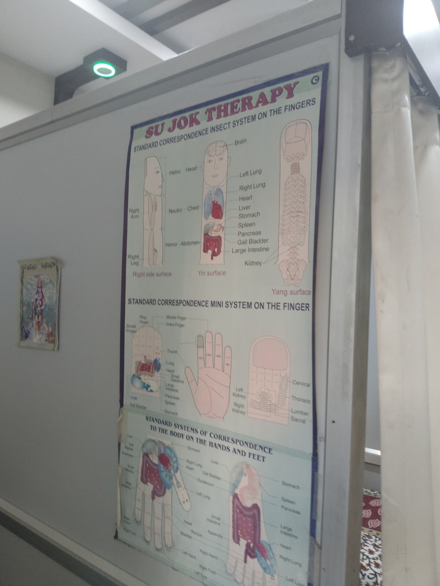 Top Acupuncture Treatment For Nerve Injury in Vadodara near me