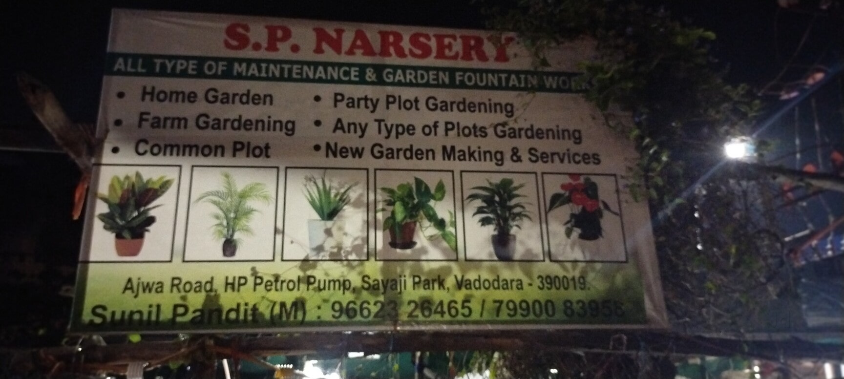 S.P Nursery in Kashiba Nagar,Vadodara - Best Plant Nurseries near me in  Vadodara - Justdial