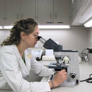 Lab view 9